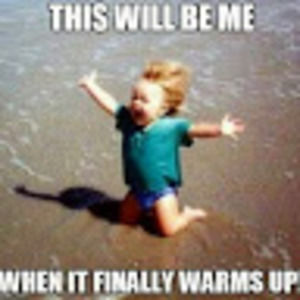 Meet your Posher, Crickette